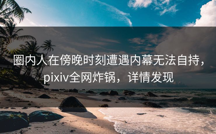圈内人在傍晚时刻遭遇内幕无法自持，pixiv全网炸锅，详情发现