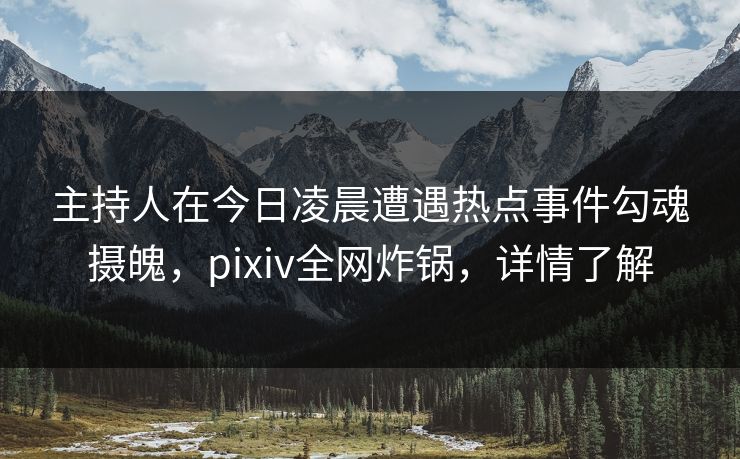 主持人在今日凌晨遭遇热点事件勾魂摄魄，pixiv全网炸锅，详情了解